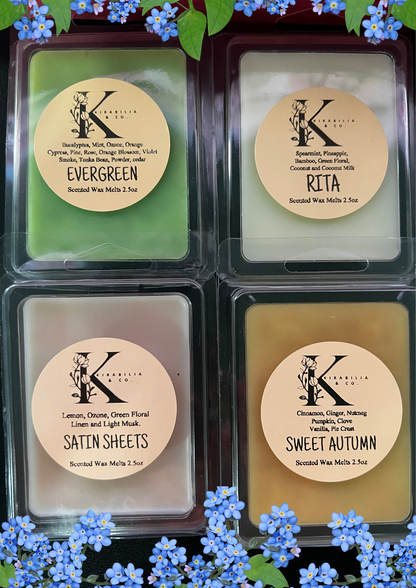 Wax Melts 2.5oz (Coconut Soy Wax)